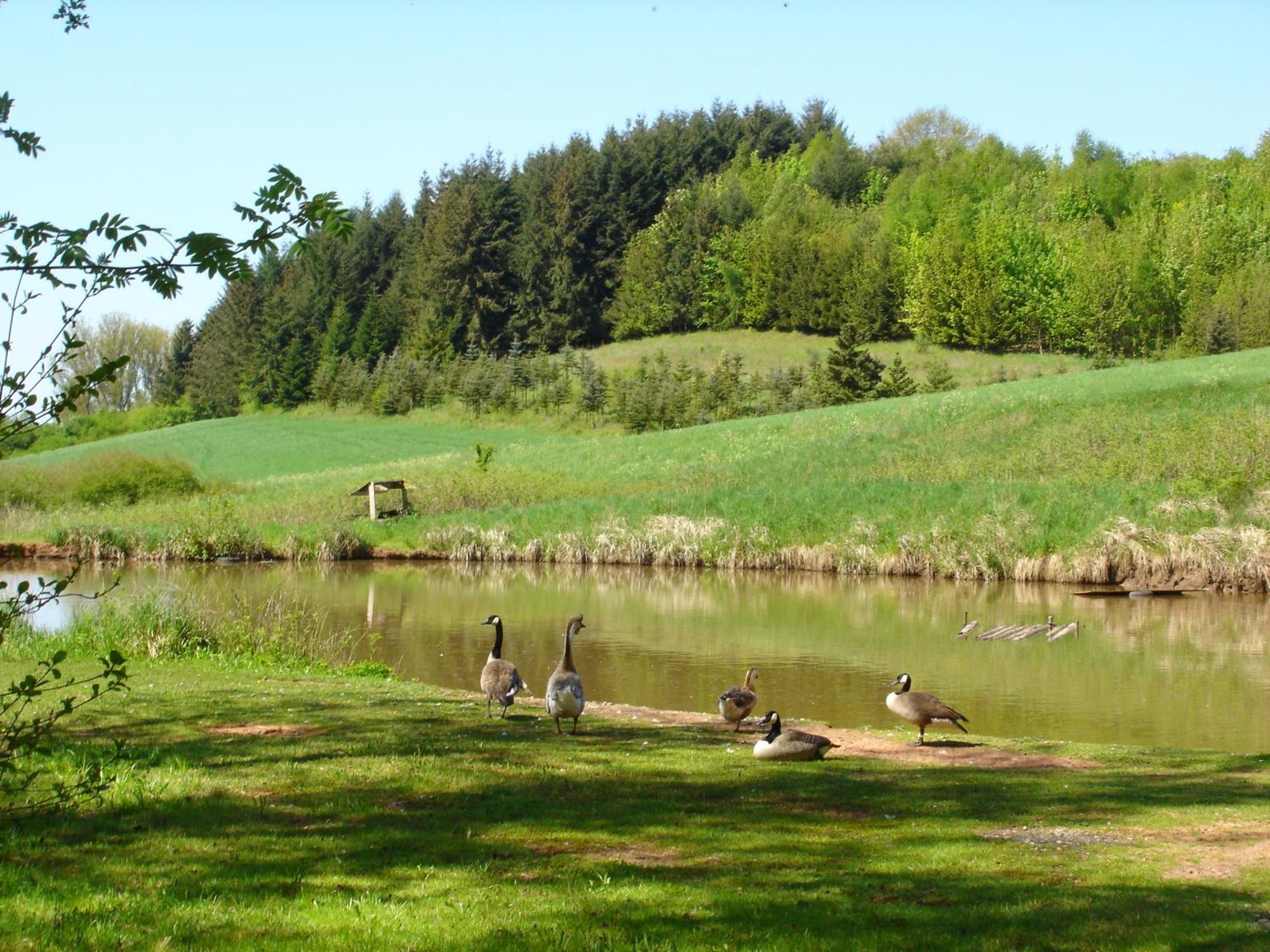 Hotel & Landgasthaus Pfeifertal Eulenbis